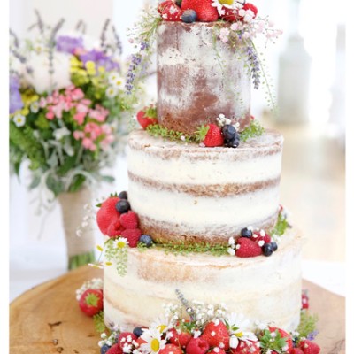 The Millhouse, Trebarwith Strand, North Cornwall. Donna Jane Cakes, bouquet by Flowers by Phillip Corps. June.